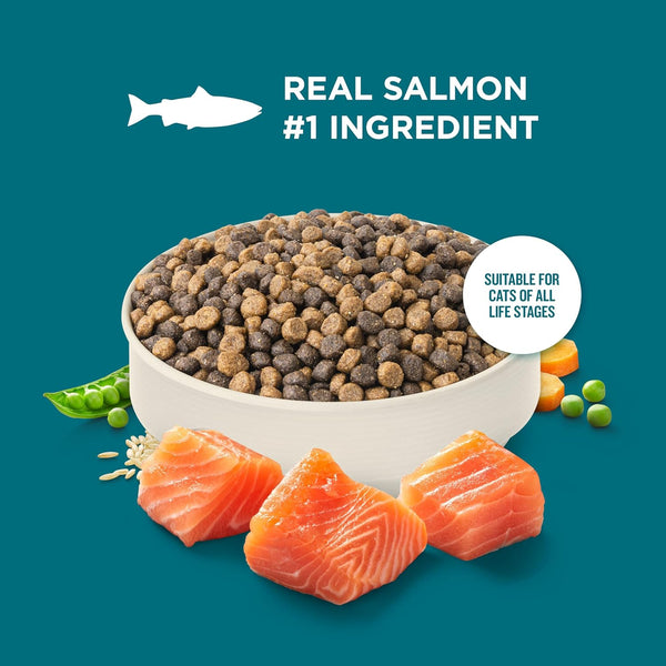 Nutrish Dry Cat Food, Salmon & Brown Rice Recipe, 14 Lb. Bag (Rachael Ray) | Suitable for Cats of All Life Stages, No Artificial Flavors, Nature Food with Added Vitamins, Minerals & Nutrients4