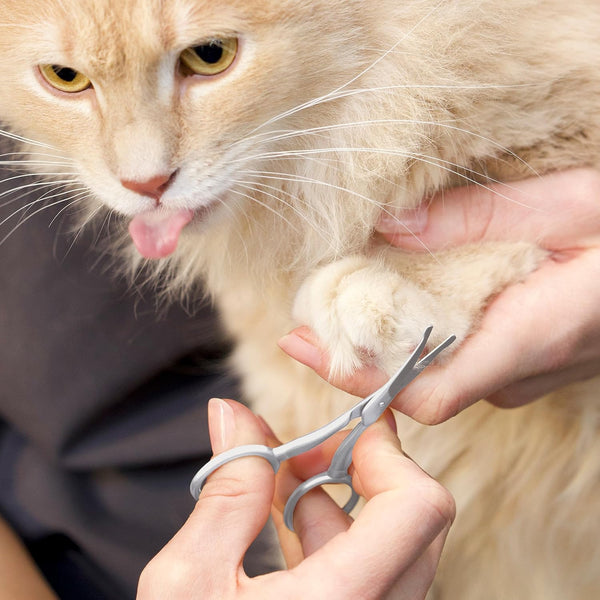Tweezerman Pet Grooming Scissors-Rounded Tip Trimming Scissor for Dogs/Cats7
