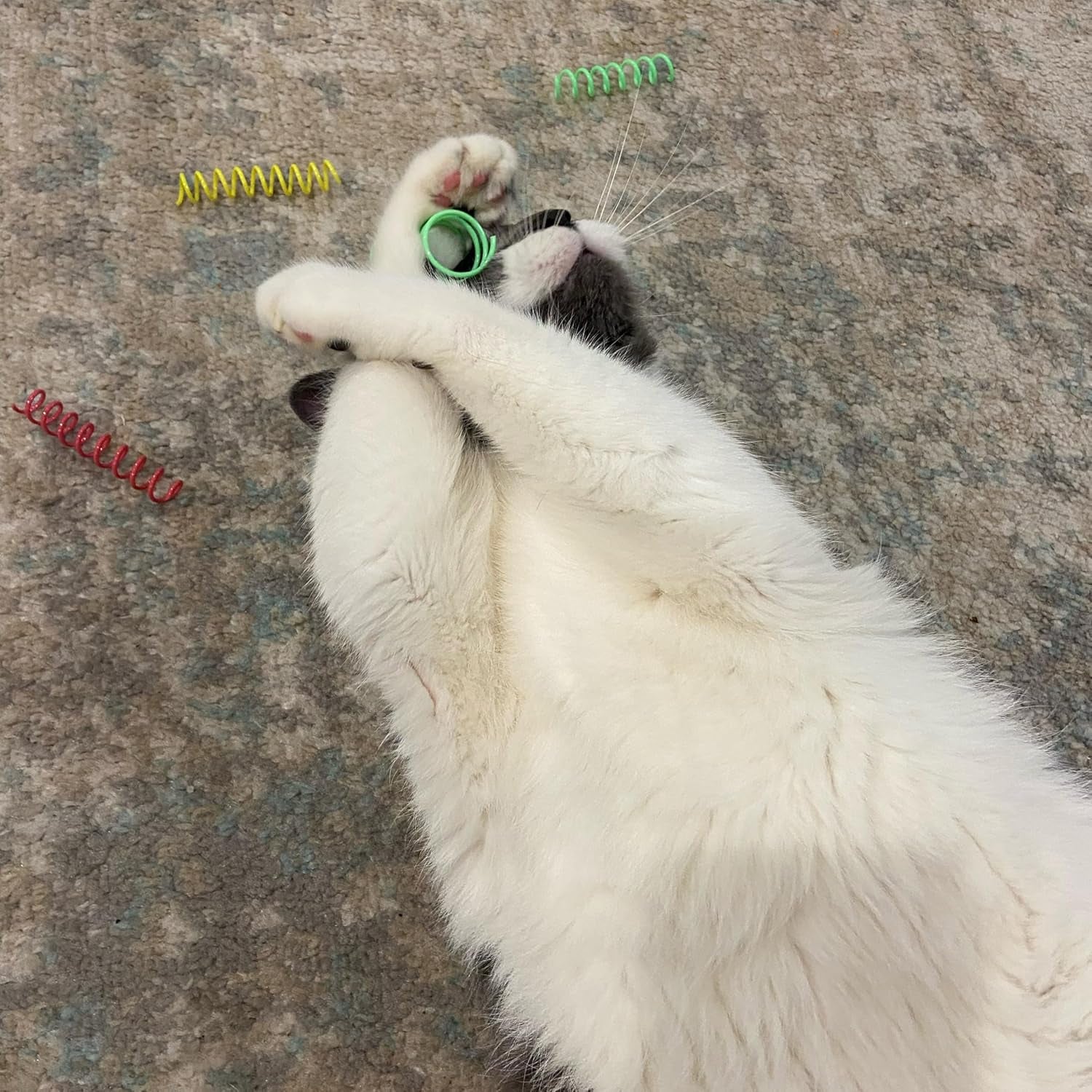 spot-colorful-springs-cat-toys-3-bouncy-coils-for-indoor-cats-kittens-to-swat-chase-bite-safe-lightweight-plastic-interactive-enrichment-toys-10-pack-multi-color