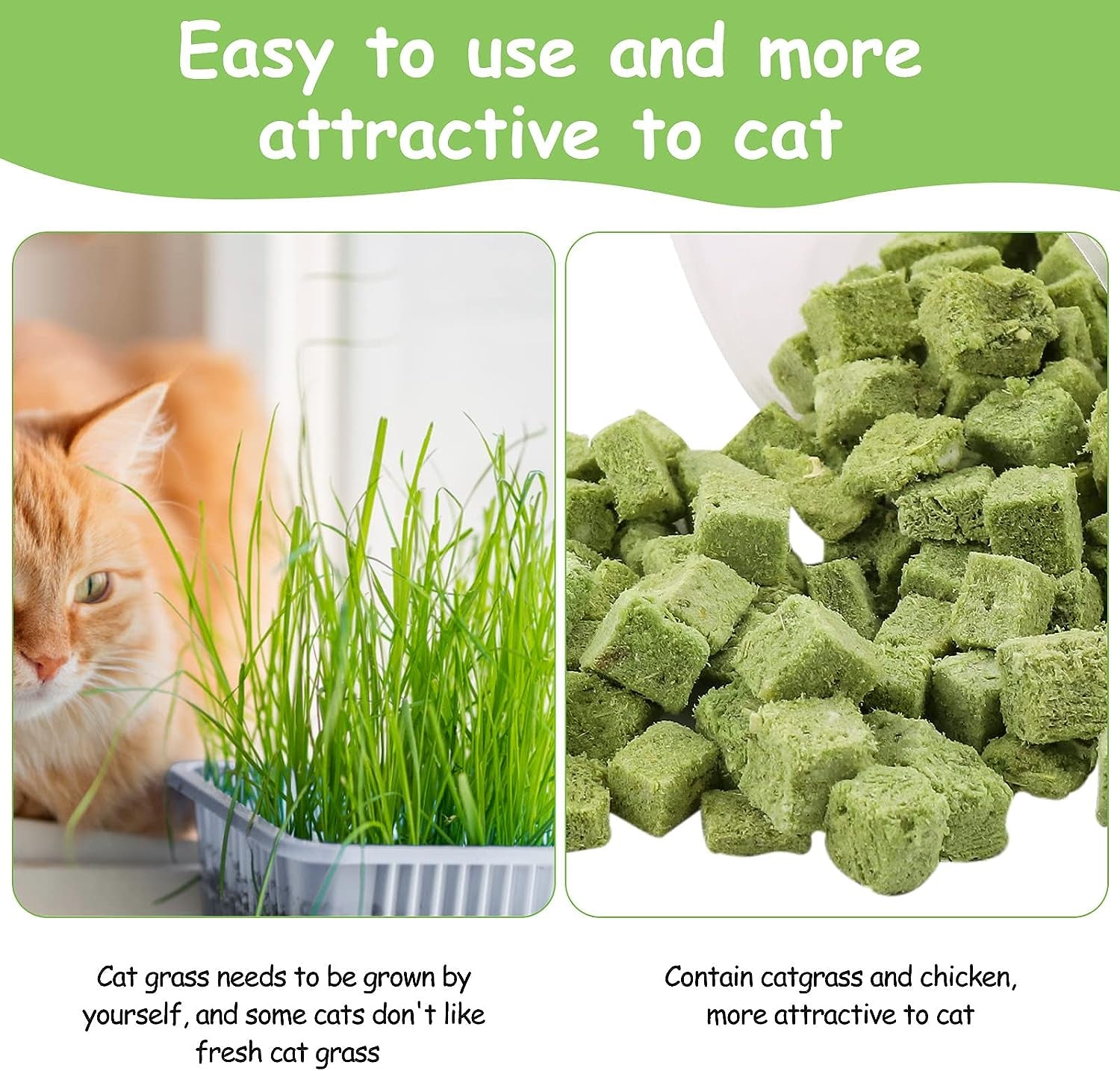 60g-cat-grass-treats-for-indoor-cats-freezed-dried-cat-grass-teething-stick-snacks-for-cats-edible-feline-chew-toys-for-hairball-control-and-oral-health