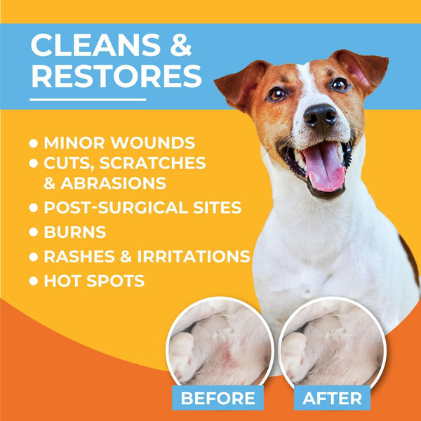 Skin & Wound Care Spray for Dogs & Cats – Lick-Safe Antiseptic Healing Aid, Itch Relief & Skin Repair Treatment for Hot Spots, Rashes, Cuts, Burns, & Irritation3