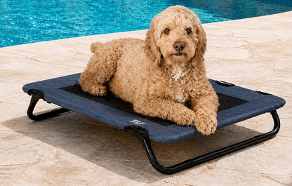 Pet Gear Lifestyle Pet Cot Elevated Bed, 30 Inch, Caribbean Ocean | No Assembly Required, Premium Tear Resistant Cooling Mesh, Indoor & Outdoor, Lightweight & Portable1