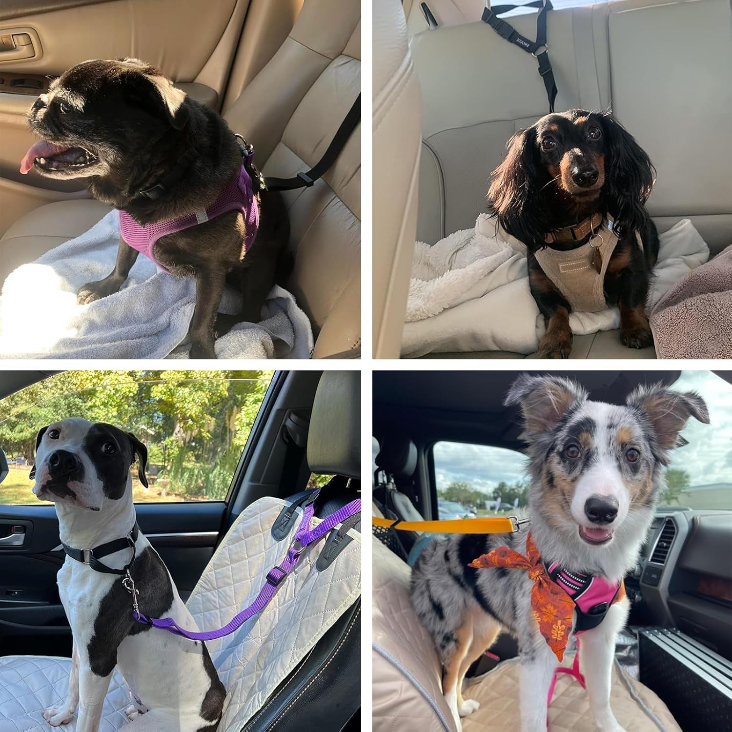 bwogue-2-pack-dog-seat-belt-for-car-headrest-restraint-safety-leads-headrest-loop-for-car-travel-18-30-in-adjustable-2-in-1-seat-belt-and-leash-2-pack-for-dogs-and-cats-use-with-dog-harness