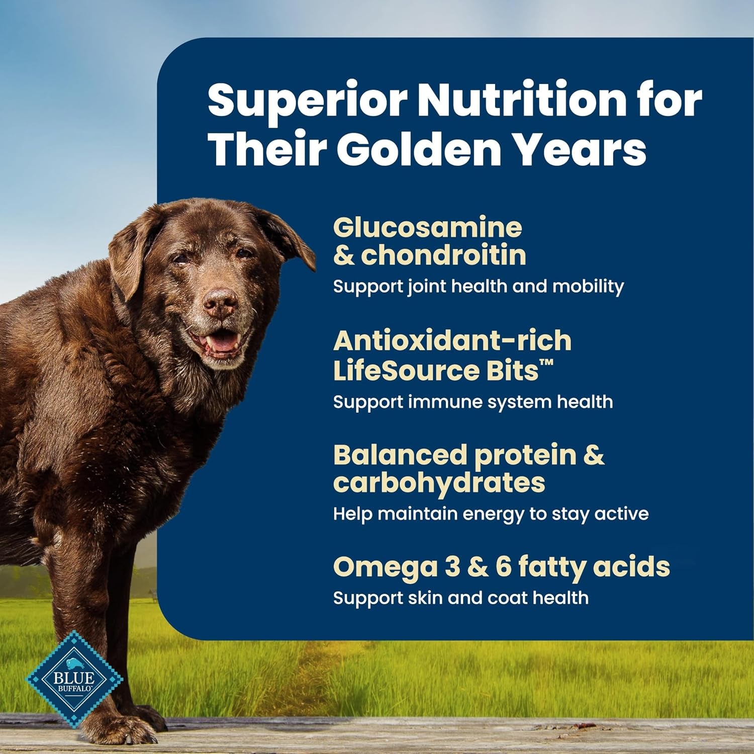 blue-buffalo-life-protection-formula-chicken-senior-7-dry-dog-food-5-lb-real-chicken-1-ingredient-glucosamine-chondroitin-for-joint-health-mobility-antioxidant-rich-lifesource-bits