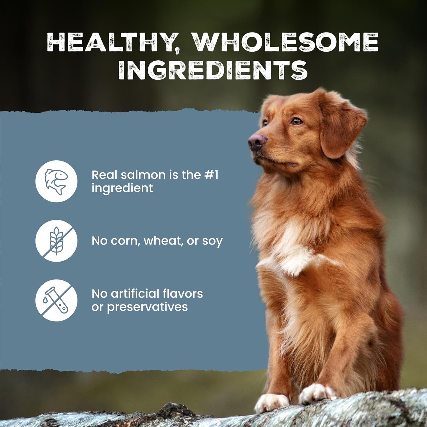 blue-buffalo-wilderness-trail-treats-salmon-crunchy-dog-biscuits-grain-free-high-protein-bite-sized-training-treats-made-with-real-salmon-natural-ingredients-24-oz-bag