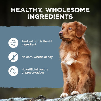 Blue Buffalo Wilderness Trail Treats Salmon Crunchy Dog Biscuits, Grain-Free & High-Protein, Bite-Sized Training Treats Made with Real Salmon & Natural Ingredients, 24-Oz Bag8