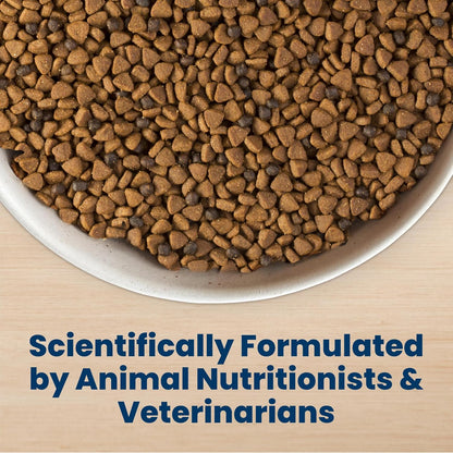 Blue Buffalo Life Protection Formula Chicken Small Breed Puppy Food, 5 Lb | with DHA for Brain Development, Real Chicken #1 Ingredient, Antioxidant-Rich Lifesource Bits, Formulated for Small Breed Dogs5