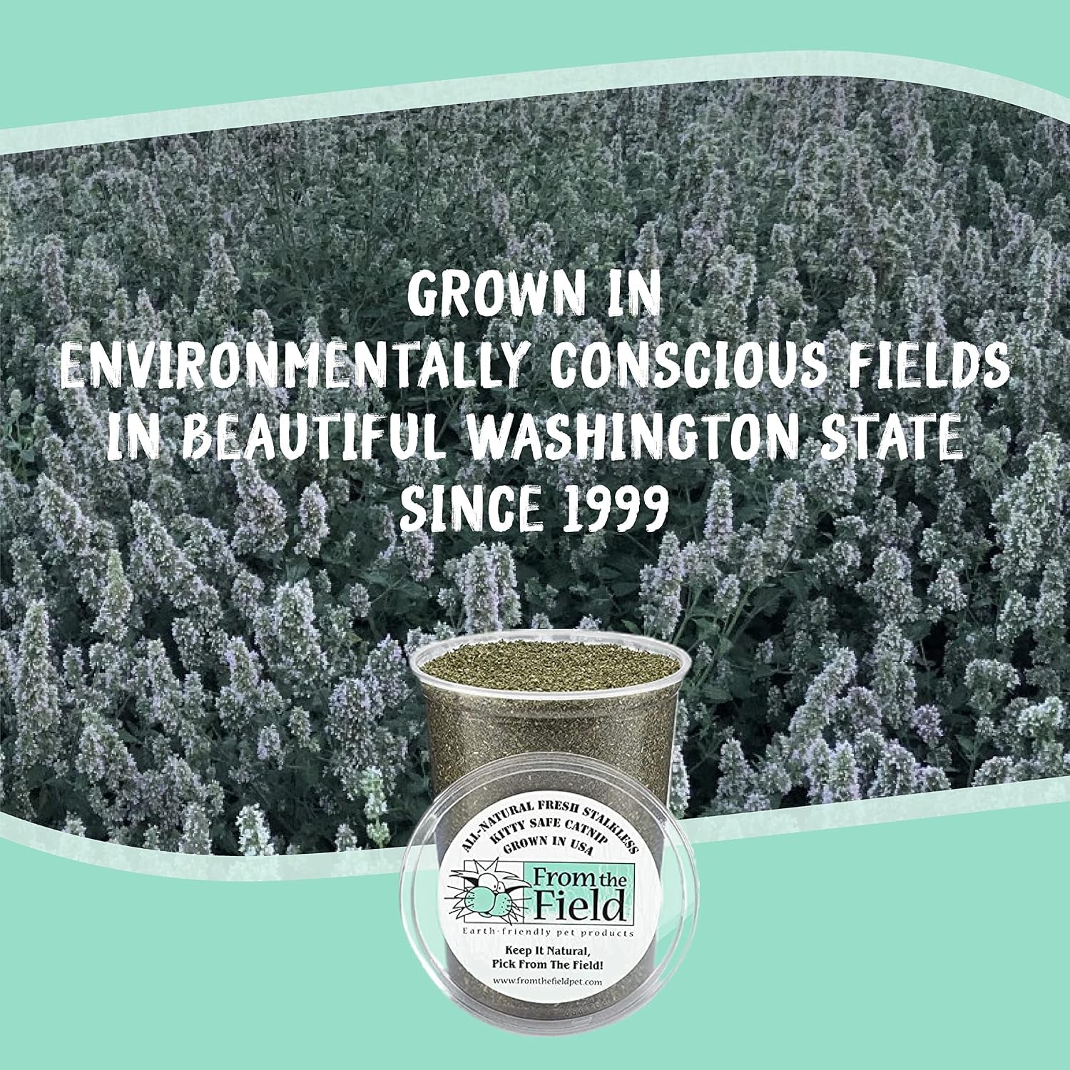from-the-field-fine-ground-stalkless-catnip-premium-usa-grown-catnip-for-toys-playtime-fresh-potent-non-toxic-eco-friendly-safe-for-kittens-cats-resealable-6-oz-tub