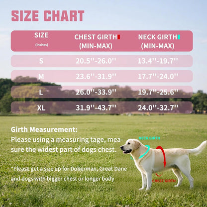 AUROTH Dog Harness and Leash Set, Soft Padded Service Dog Vest with 5.25FT Dog Leash, No Choke, Easy on Pet Vest, Adjustable Reflective No Pull Pet Vest Medium Sized Dog, Easy Walking and Training6