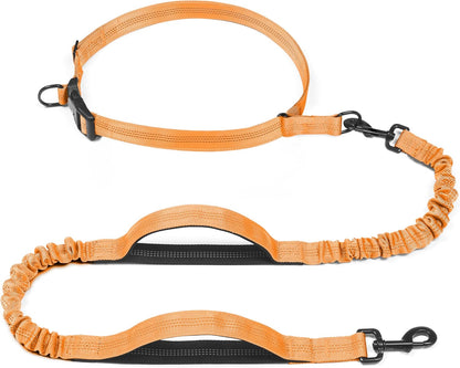 Iyoshop Retractable Hands Free Dog Leash - Dual Handle Bungee Waist Leash for Small, Medium and Large Dogs (Medium/Large, 25-150 Lbs, Black)9