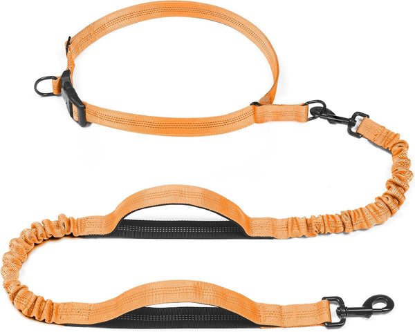 Iyoshop Retractable Hands Free Dog Leash - Dual Handle Bungee Waist Leash for Small, Medium and Large Dogs (Medium/Large, 25-150 Lbs, Black)9