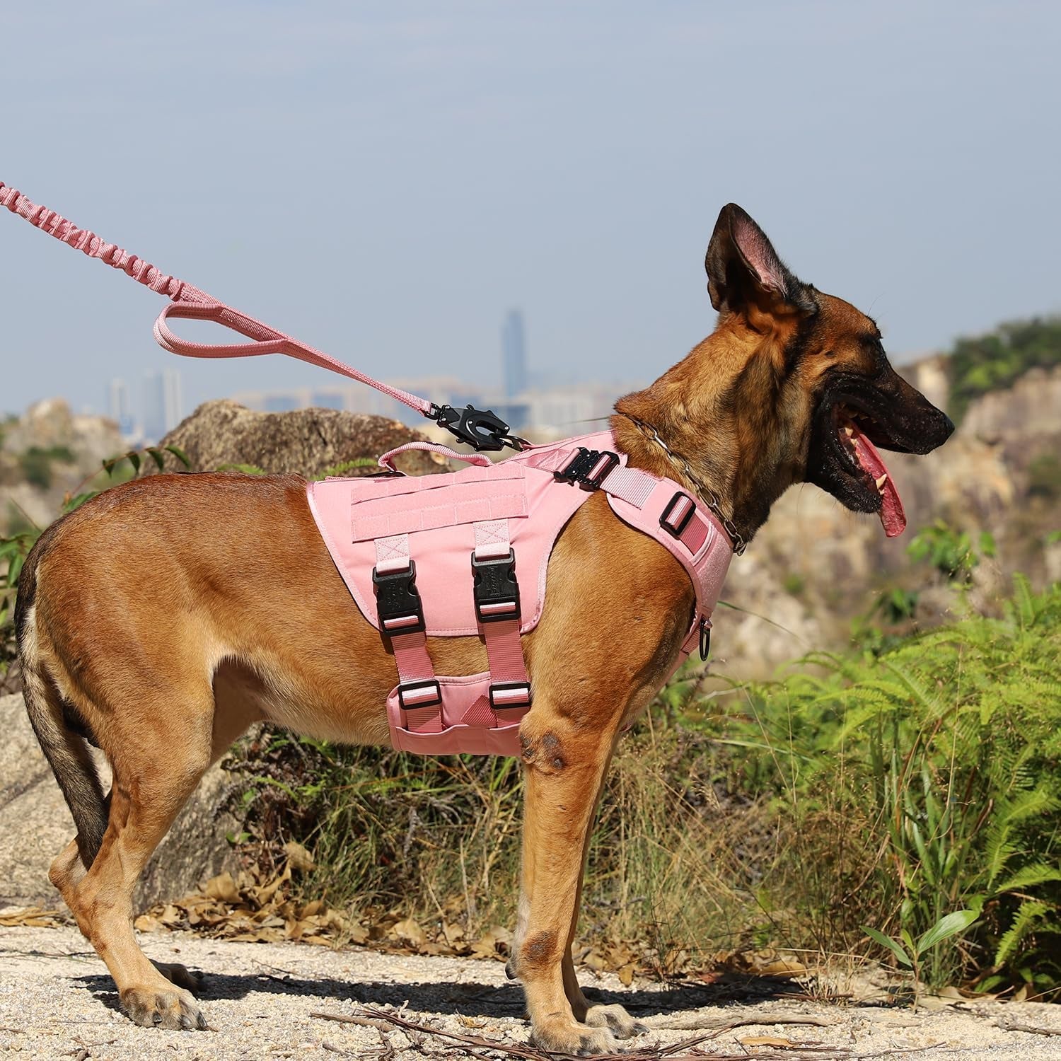 icefang-no-pull-tactical-dog-harness-for-large-dogs-adjustable-dog-vest-control-handle-molle-panel-front-hook-3-leash-clips-soft-padded-for-walking-training-pink-large