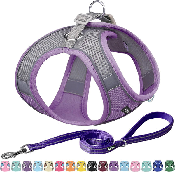AIITLE No Pull Dog Harness and Leash Set, Step in Adjustable Dog Harness with Padded Vest for All Weather, Dog Leash with Soft Padded Handle, Easy to Put on Small and Medium Dogs Beige S25