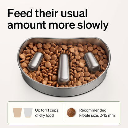 PETLIBRO Slow Feeder Bowl for Small Dogs & Cats, 1.125 Cup— Anti-Gulp Stainless Steel Dog & Cat Bowl, Helps Reduce Risk of Bloat, Dishwasher Safe — Compatible with PETLIBRO Camera Automatic Feeder8