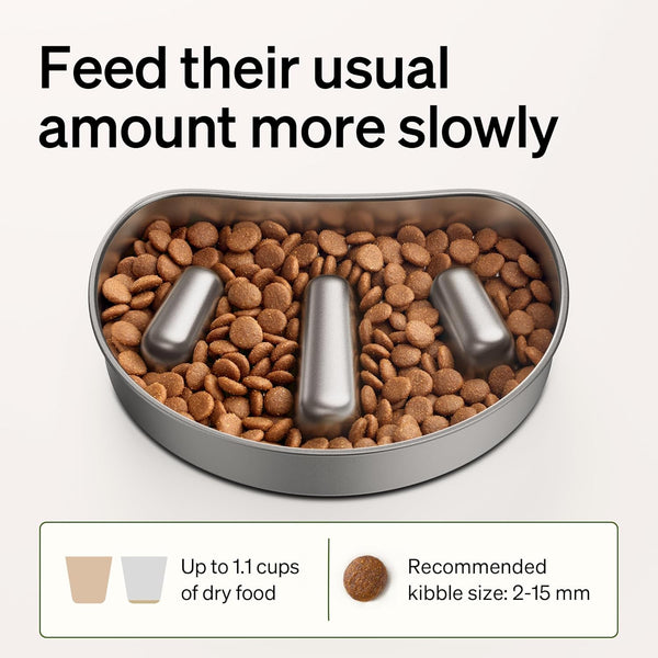 PETLIBRO Slow Feeder Bowl for Small Dogs & Cats, 1.125 Cup— Anti-Gulp Stainless Steel Dog & Cat Bowl, Helps Reduce Risk of Bloat, Dishwasher Safe — Compatible with PETLIBRO Camera Automatic Feeder8