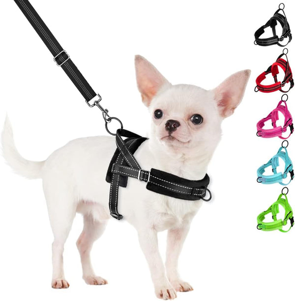 Slowton No Pull Small Dog Harness and Leash Set, Puppy Soft Vest Harness Neck & Chest Adjustable, Reflective Lightweight Harness & Anti-Twist Pet Lead Combo for Small Medium Dogs (Fuchsia, XXS)13