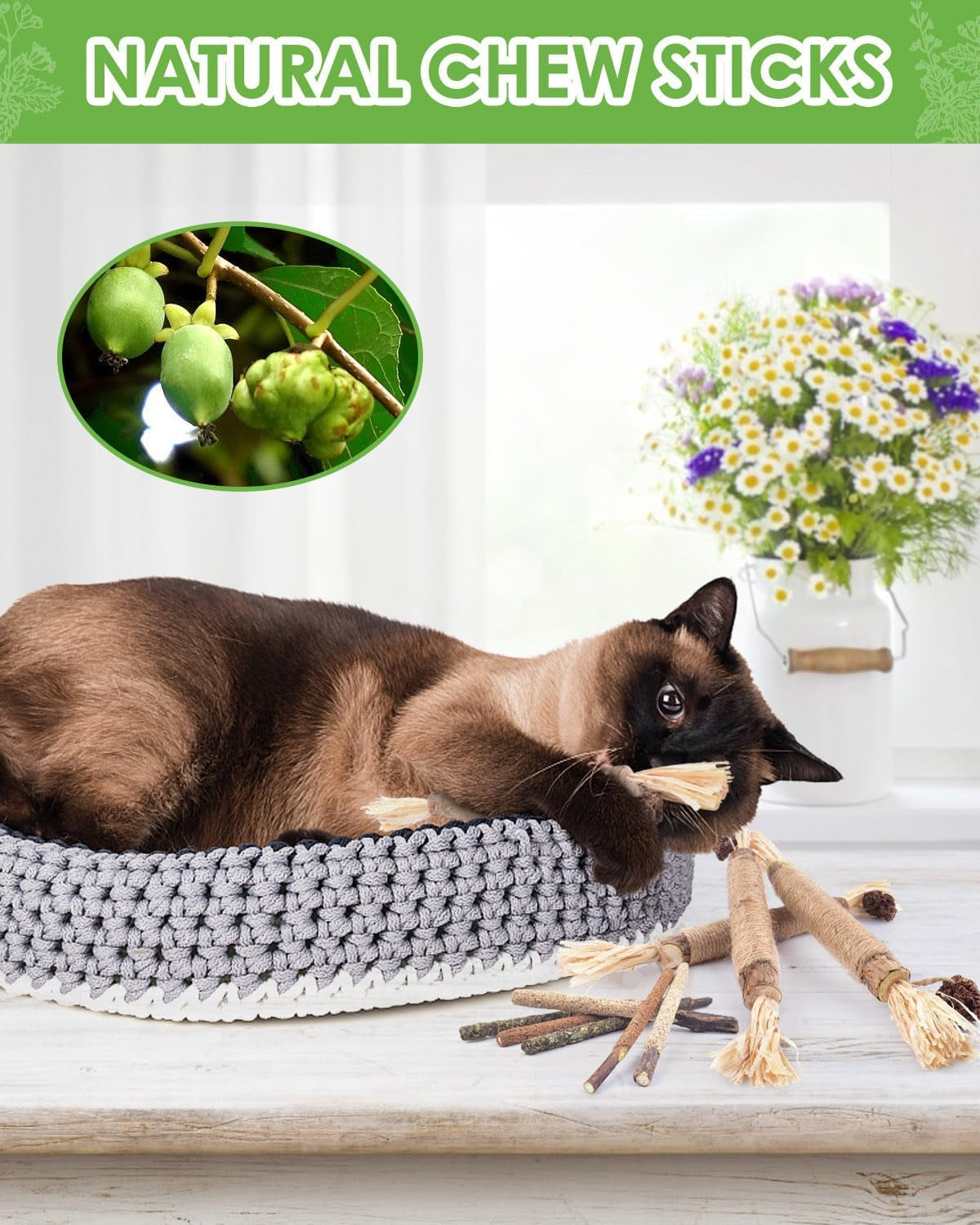 tindtop-silvervine-chew-sticks-for-cats-10-pack-natural-catnip-chew-toys-for-kittens-teeth-cleaning-matatabi-dental-care-increase-appetite-calm-cat-anxiety-and-stress-aggressive-chewers-toy