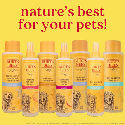 Burt'S Bees for Pets anti Itch Dog Spray with Honeysuckle and Honey, Waterless Grooming Mist for Dry Flaky Skin, Dog Itch Relief between Baths, Natural Origin Coat Care for Dogs, 10 Fl Oz7
