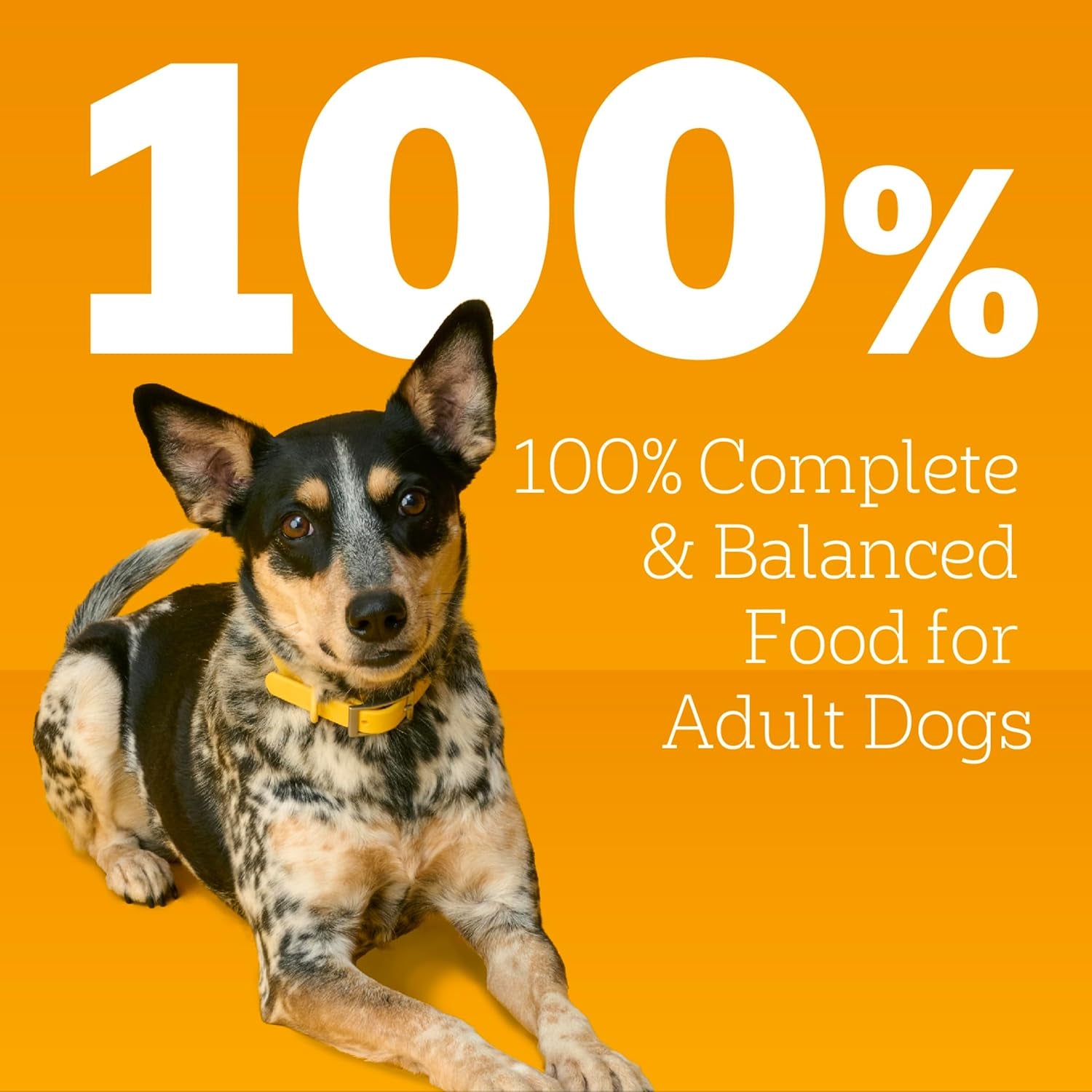 pedigree-chopped-weight-management-wet-dog-food-chicken-13-2oz-12-count-real-chicken-1-ingredient-low-fat-100-complete-balanced-made-in-usa-use-as-topper-or-serve-alone-low-fat