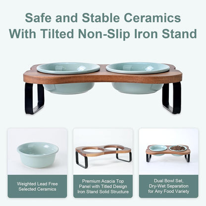 SPUNKYJUNKY Ceramic Elevated Tilted Dog Bowls Bone-Shaped Raised with 2 Height Iron Stand, 4.9'' Dog and Cat Food Water Bowls Set Non-Slip for Puppy Kitten Small Sized Breed - 7 Oz,Light Green6