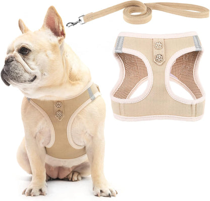 PUPTECK Dog Harness and Leash Set for Small Medium Dogs No Pull Step-In Soft Mesh Puppy Cat Vest Harnesses Reflective at Night, Green S14