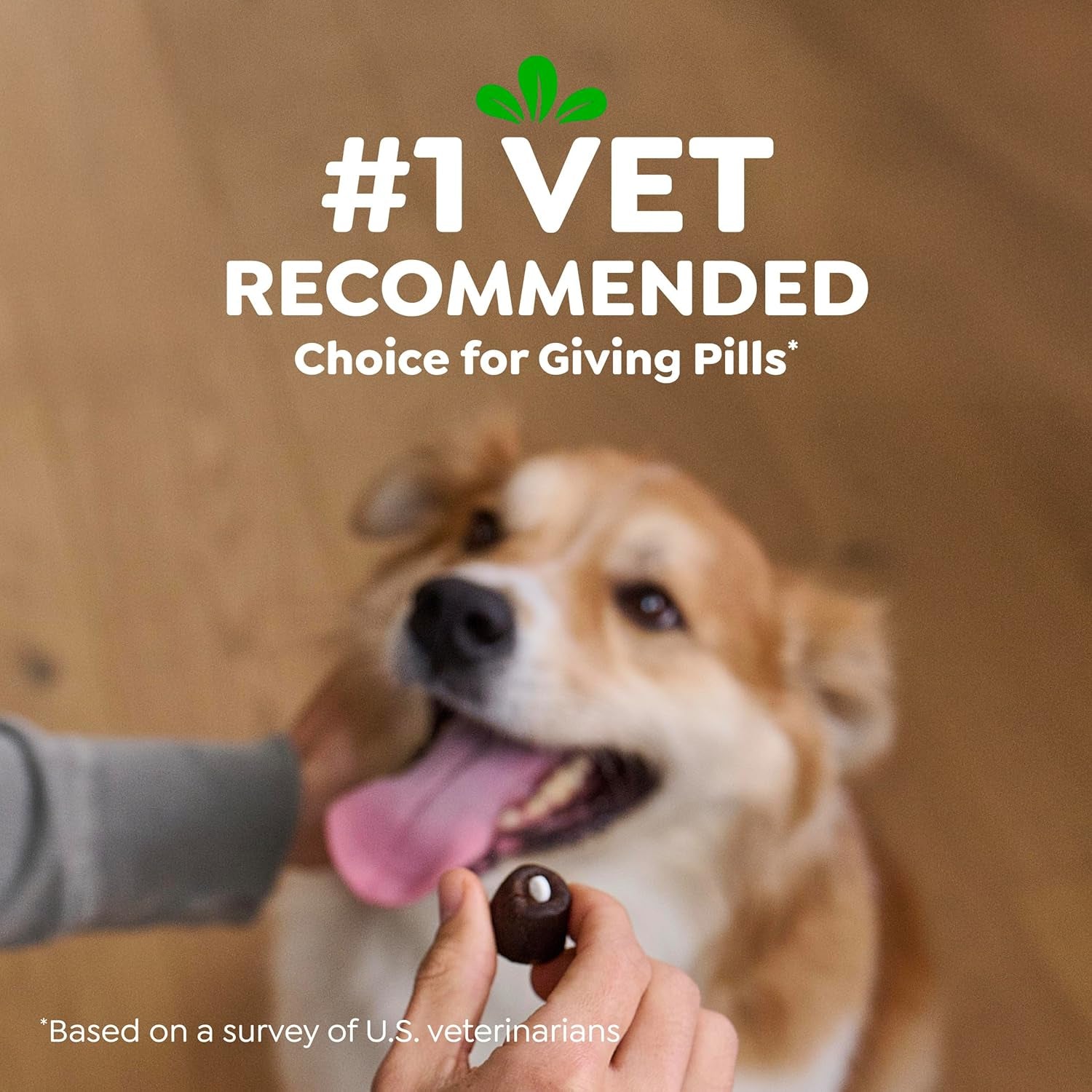 greenies-pill-pockets-small-dog-treats-chicken-flavor-3-2-oz-vet-recommended-masks-pill-smell-taste-easy-pinch-close-design-stress-free-medicating-tablet-size-3-2-oz-pouch