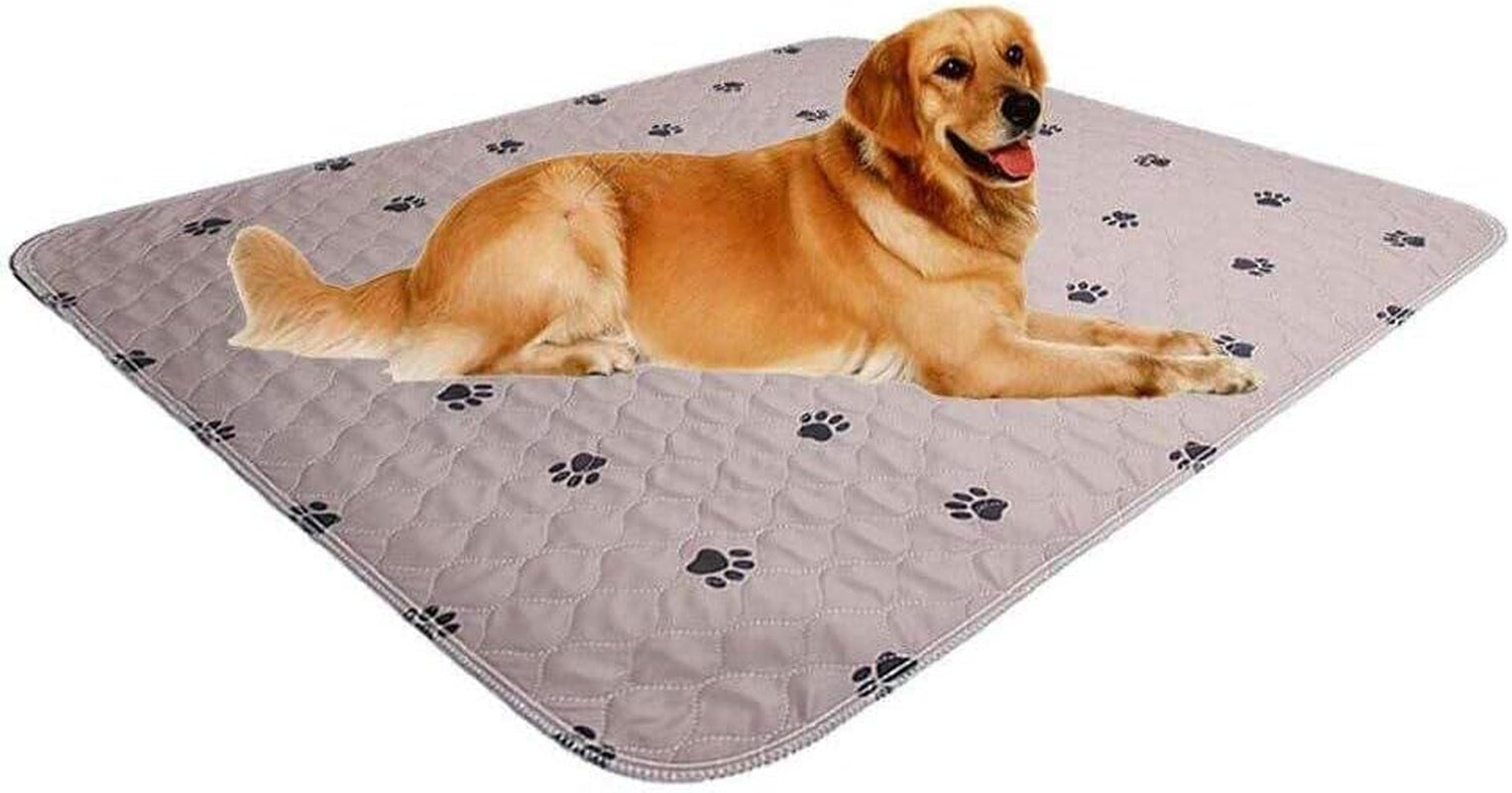 washable-dog-pee-pads-with-puppy-grooming-gloves-puppy-pads-reusable-pet-training-pads-large-dog-pee-pad-waterproof-pet-pads-for-dog-bed-mat-super-absorbing-whelping-pads