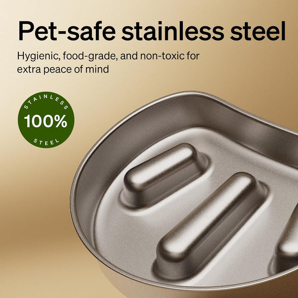 PETLIBRO Slow Feeder Bowl for Small Dogs & Cats, 1.125 Cup— Anti-Gulp Stainless Steel Dog & Cat Bowl, Helps Reduce Risk of Bloat, Dishwasher Safe — Compatible with PETLIBRO Camera Automatic Feeder5