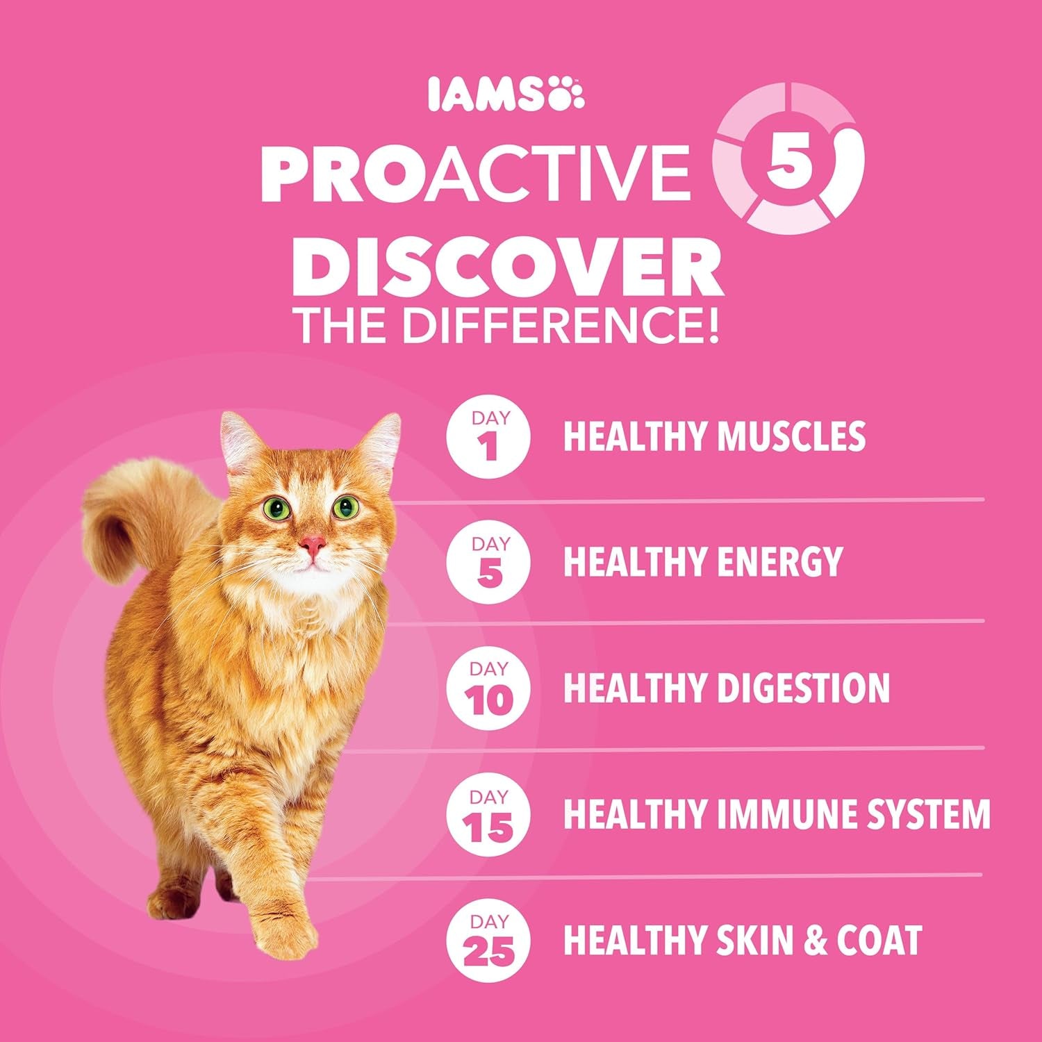 iams-proactive-health-sensitive-digestion-dry-cat-food-turkey-13-lb-veterinarian-recommended-real-turkey-1-ingredient-prebiotics-fiber-blend-omega-6-3-for-coat-shine