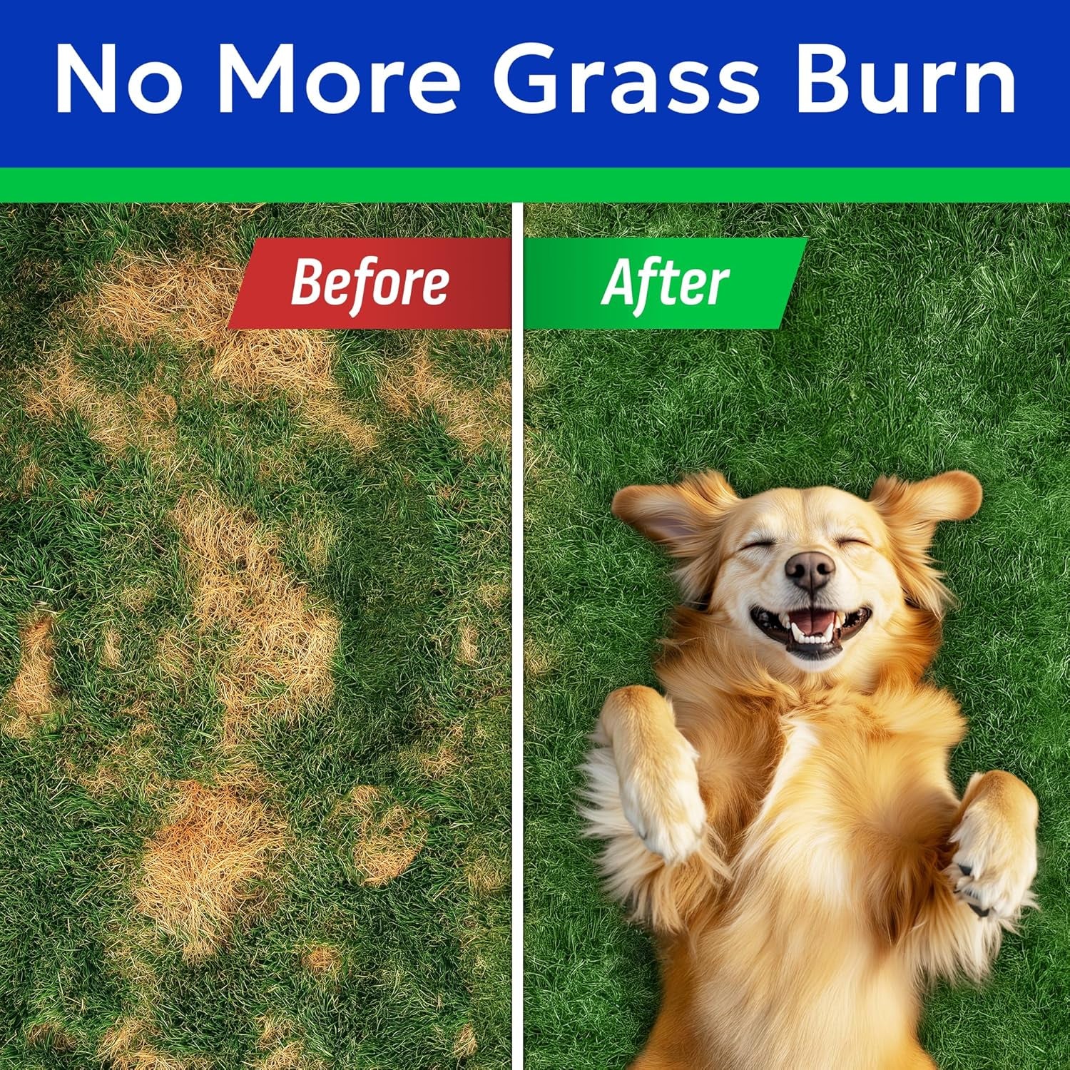 bark-spark-green-grass-dog-chews-dog-pee-grass-urine-neutralizer-lawn-grass-burn-spot-chews-with-probiotics-enzymes-helps-reduce-lawn-burn-from-dog-urine-120-soft-chews