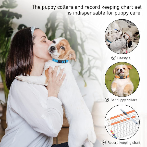 GAMUDA Puppy ID Collars - Super Soft Nylon Whelping Set - Adjustable Breakaway Litter for Pups - Assorted Colors Plain & Identification with 2 Record Keeping Charts - Set of 12 (S)6