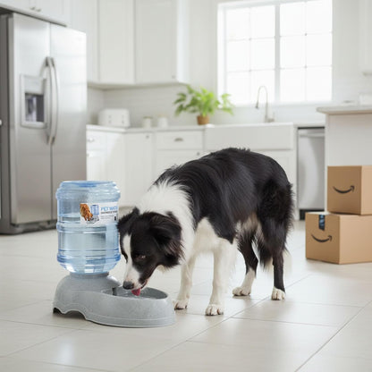 3 Gallon Large Dog Water Dispenser, Automatic Gravity Pet Waterer Station for Large Dogs and Multiple Pets, Indoor/Outdoor Dog Water Bowl with Anti-Slip Base, Bpa-Free, Grey8