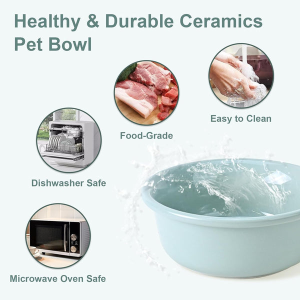 SPUNKYJUNKY Ceramic Elevated Tilted Dog Bowls Bone-Shaped Raised with 2 Height Iron Stand, 4.9'' Dog and Cat Food Water Bowls Set Non-Slip for Puppy Kitten Small Sized Breed - 7 Oz,Light Green5