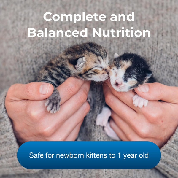Petag KMR Kitten Milk Replacer Powder - 6 Oz - Powdered Kitten Formula with Prebiotics, Probiotics & Vitamins for Kittens Newborn to Six Weeks Old - Easy to Digest3