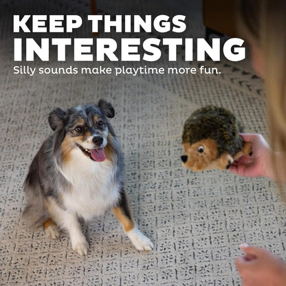 Outward Hound Hedgehogz Stuffed Dog Toy – Soft Plush Hedgehog, Grunts & Squeaks, Medium, 9" X 5" X 6.5"4