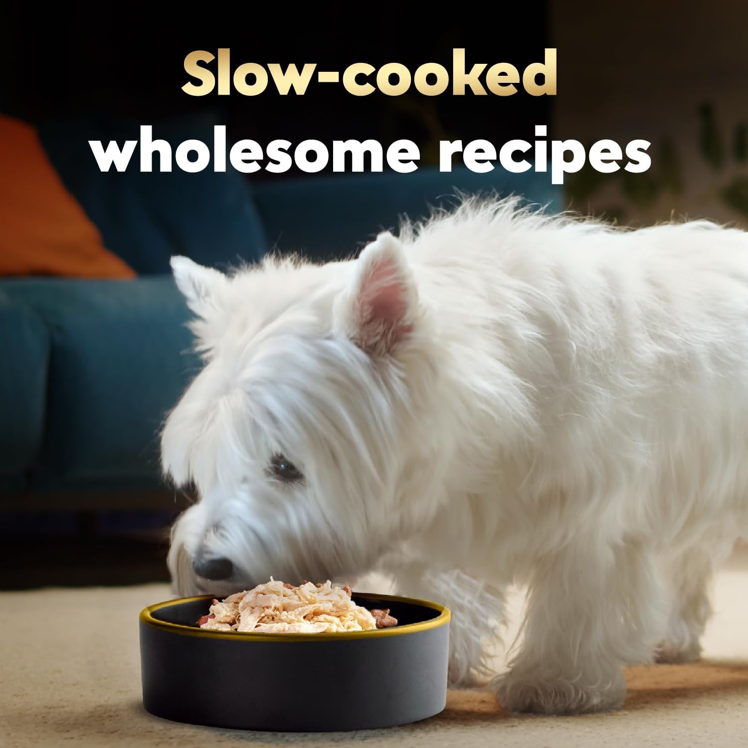 cesar-wholesome-bowls-wet-dog-food-chicken-recipe-3-oz-10-count-real-chicken-1-ingredient-slow-cooked-7-key-ingredients-no-by-products-or-artificial-flavors-easy-to-digest