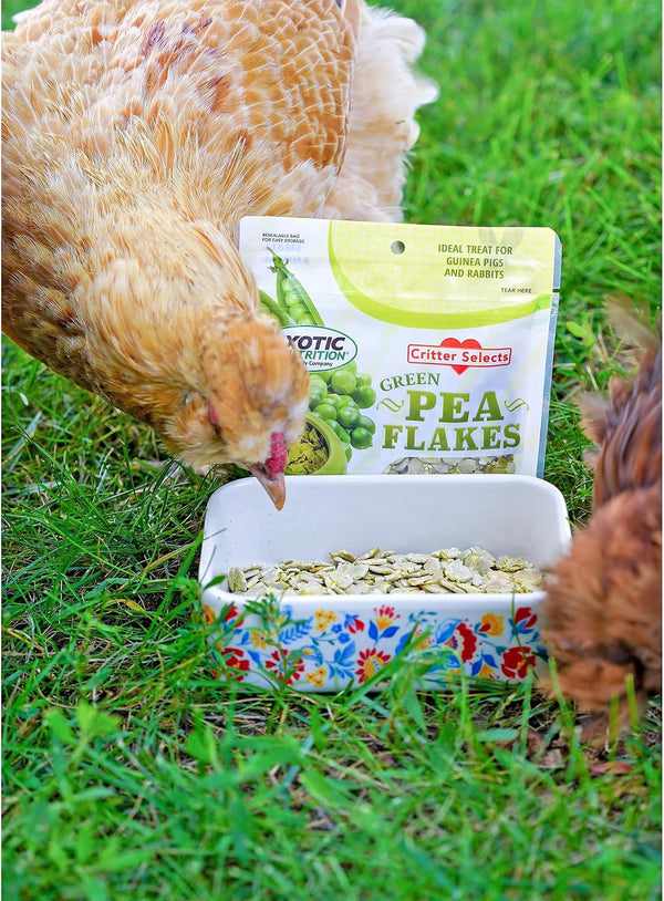 Exotic Nutrition Green Pea Flakes 3Oz. - Healthy & Unique Treat - Rat, Degu, Prairie Dog, Chinchilla, Hedgehog, Parrot, Guinea Pig, Rabbit, Hamster5
