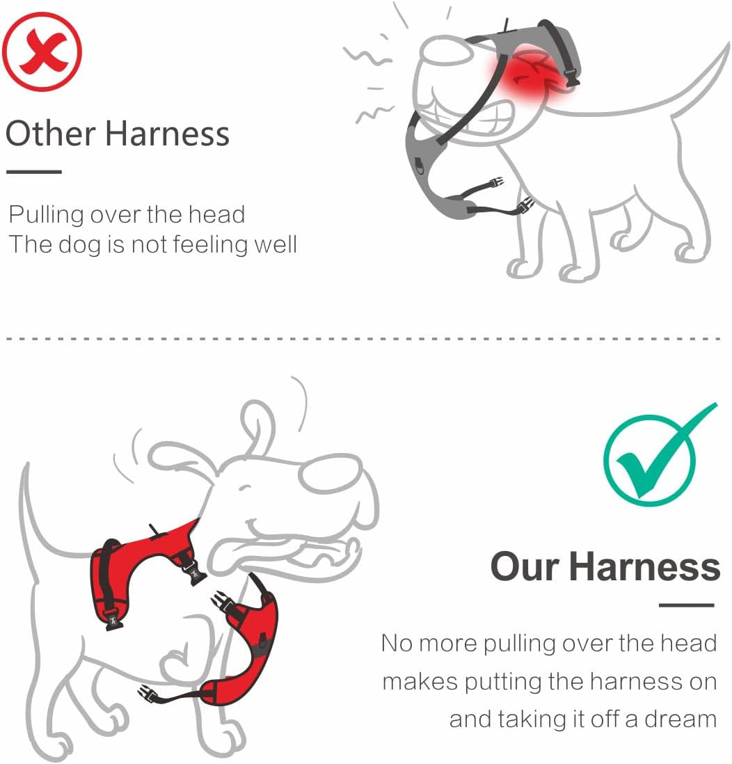 poypet-no-pull-dog-harness-with-4-snap-buckles-reflective-with-front-back-2-leash-hooks-and-an-easy-control-handle-no-need-go-over-dog-s-headmint-blue-m