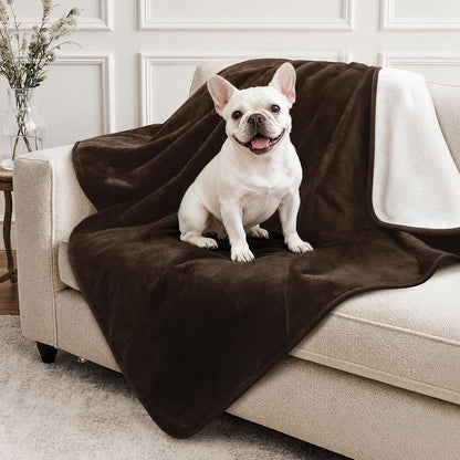 LOOBANI Waterproof Blanket for Bed, Soft Flannel Twin Bed Blanket 60" X 80" | Dog Pet Blankets for Large Dogs, Reversible Spill-Proof Throw for Couch Cover, Movie Time, Camping, Travel, Noise Free, Grey25