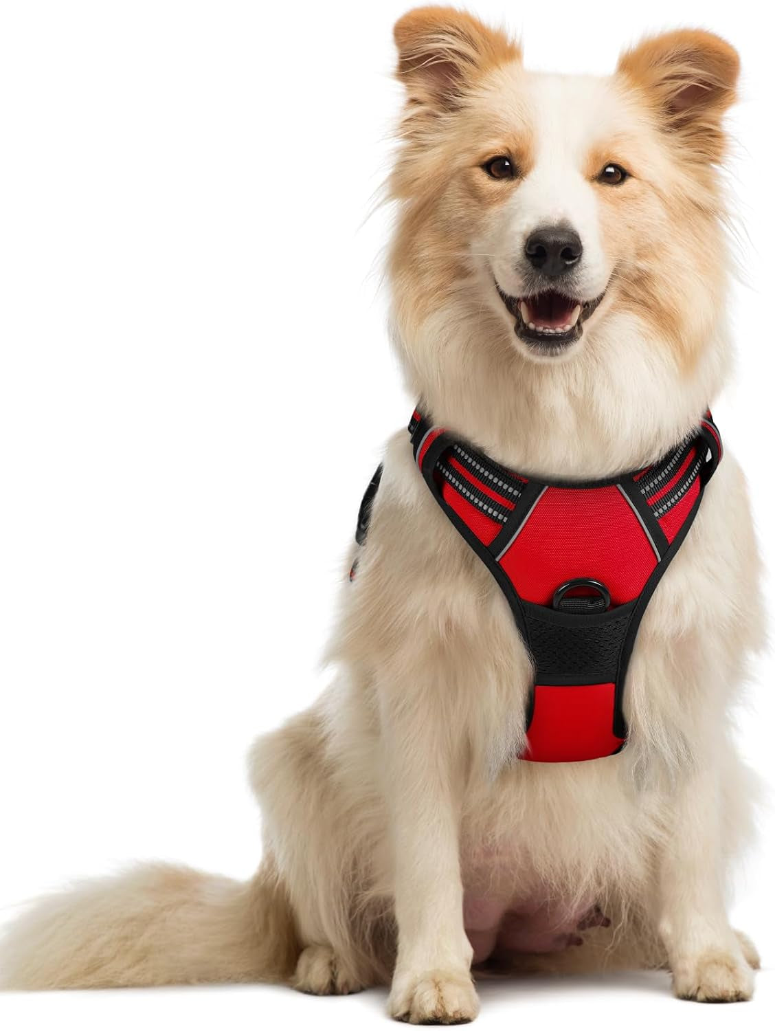 rabbitgoo-dog-harness-no-pull-for-large-dogs-with-2-leash-clips-pet-vest-no-choke-with-handle-adjustable-soft-padded-reflective-easy-control-for-walking-black-large