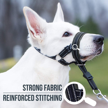 Goodboy Dog Head Halter with Safety Strap - Stops Heavy Pulling on the Leash - Padded Headcollar for Small Medium and Large Dog Sizes - Head Collar Training Guide Included (Size 2, Black)4