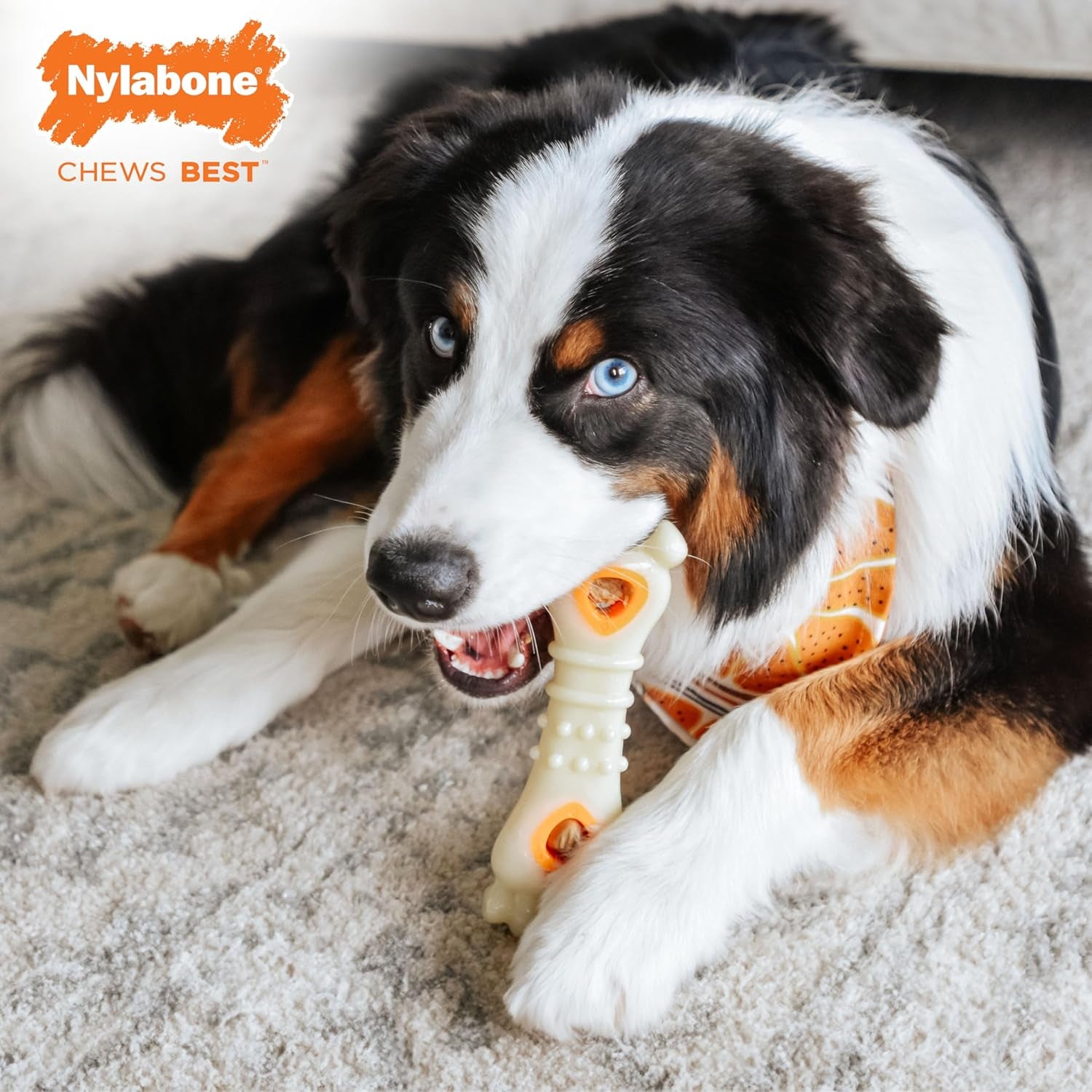 nylabone-pop-in-treat-toy-chicken-dog-treat-refills-90-count-made-with-real-chicken-fits-any-nylabone-pop-in-treat-toy-all-natural-dog-treats-highly-digestible-limited-ingredients