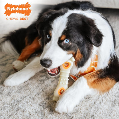 Nylabone Pop-In Treat Toy Chicken Dog Treat Refills, 90 Count | Made with Real Chicken, Fits Any Nylabone Pop-In Treat Toy, All-Natural Dog Treats, Highly Digestible, Limited Ingredients3