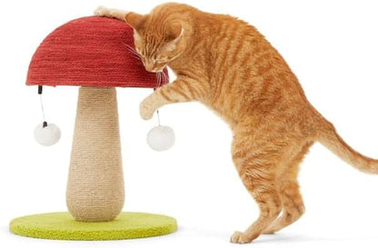 Everyyay by Petco Toadstool Scratch Post for Cats2