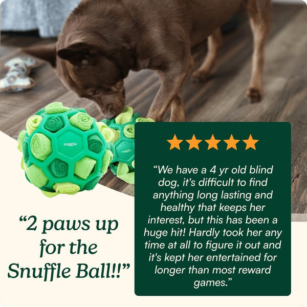 Reggie Forager Ball for Dogs | Interactive Treat Dispensing Dog Enrichment Toys | Reduces Boredom, Stress & Hyperactivity | Snuffle Toys for Dogs | Durable & Washable Dog Puzzle Toy8