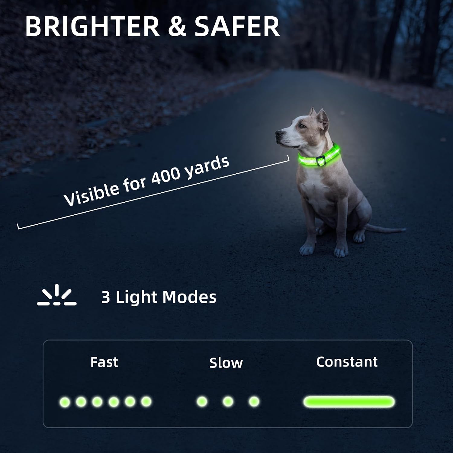 super-bright-led-dog-collar-waterproof-light-up-collarsgreen-medium-lighted-dog-collar-with-adjustable-fit-soft-nylon-comfort-usb-c-rechargeable-glow-in-the-dark-visibility-for-night-walks