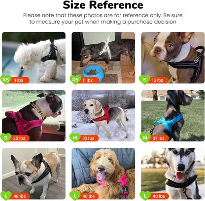 Didog No Pull Dog Harness for Small Dogs, Breathable Mesh Padded,Hot Pink,S | Quick Fit, Easy on and Off, Lightweight, Reflective Vest Harness for Night Safty, Easy for Walking and Training, Chest 18-22"7