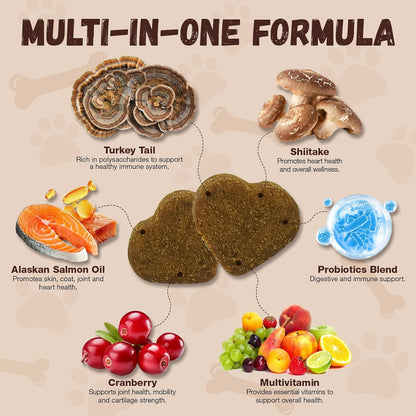 Turkey Tail Mushroom for Dogs with Probiotics - Mushroom Supplement for Dogs Lumps and Bumps, Reishi, Lion'S Mane - Immune Boost, Gut Health, Lipoma, Joint & Skin Support Multivitamin, 120 Chews4