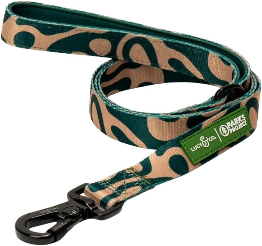 lucy-co-cheery-cherries-designer-dog-leash-for-small-to-large-dogs-padded-handle-for-comfort-large-red-gingham-cherries-5-foot