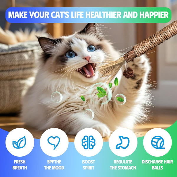 Silvervine Sticks Cat Chew Toys for Indoor Cats Dental Care Teeth Cleaning, Natural Kitten & Cat Teething Toys for Health, Catnip Toys Cat Chew Rope Suitable for All Breeds of Aggressive Chewers Cat5